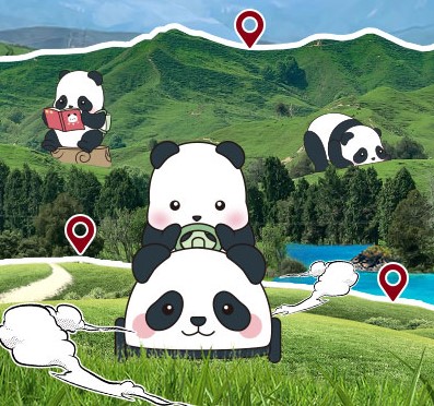 Ȥ | ǲXPanda Roll ƿС